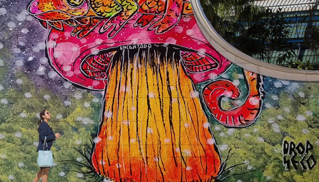 Art Surf